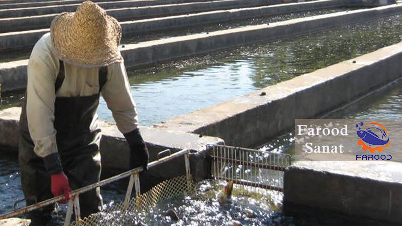شرایط زمین برای احداث پرورش ماهی را جدی بگیرید