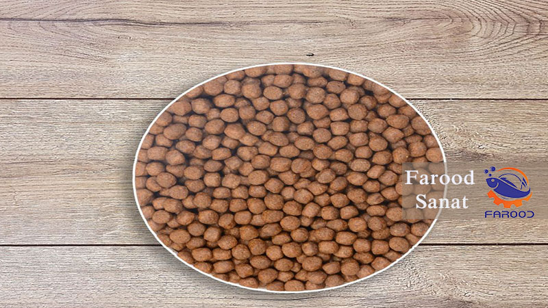 غذای ماهی قزل آلا چیست؟
