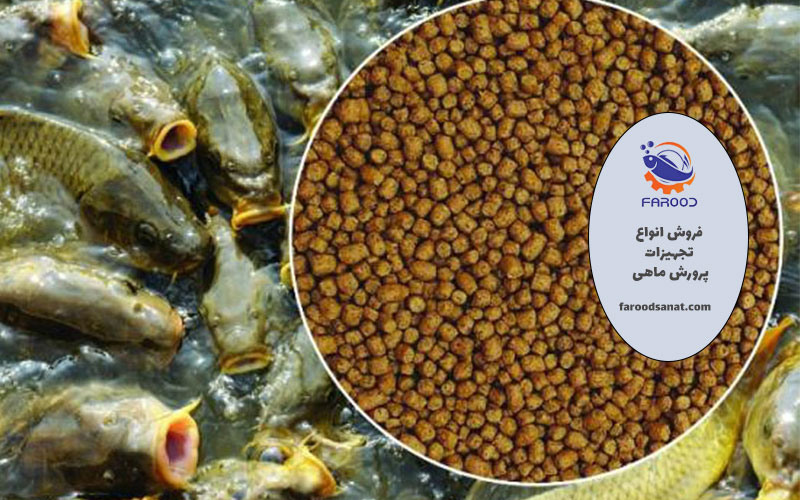 میزان مصرف غذای ماهی قزل آلا در طول دوره