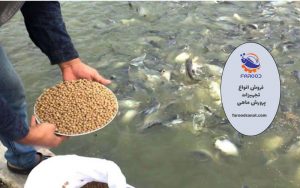 میزان مصرف غذای ماهی قزل آلا در طول دوره