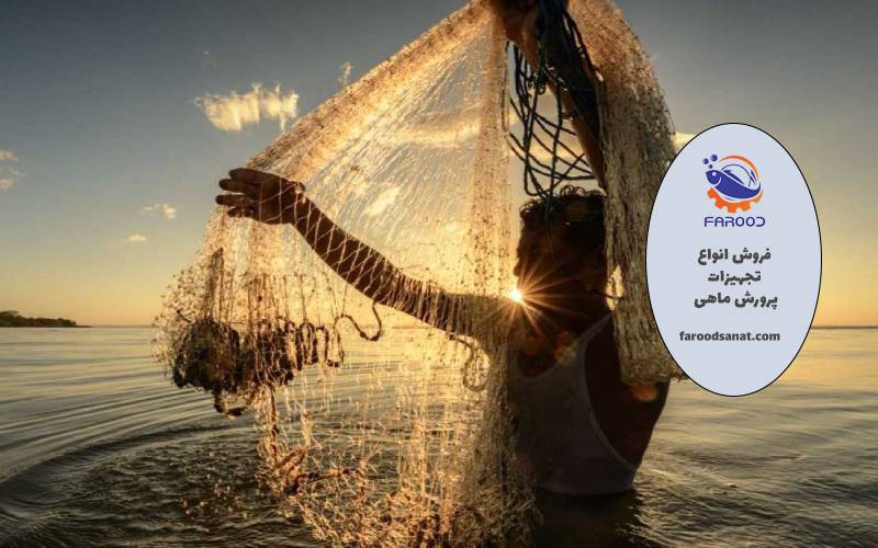 راهنمای خرید تور ماهیگیری